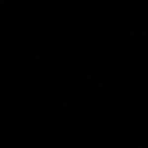 Meet your Posher, Joshua